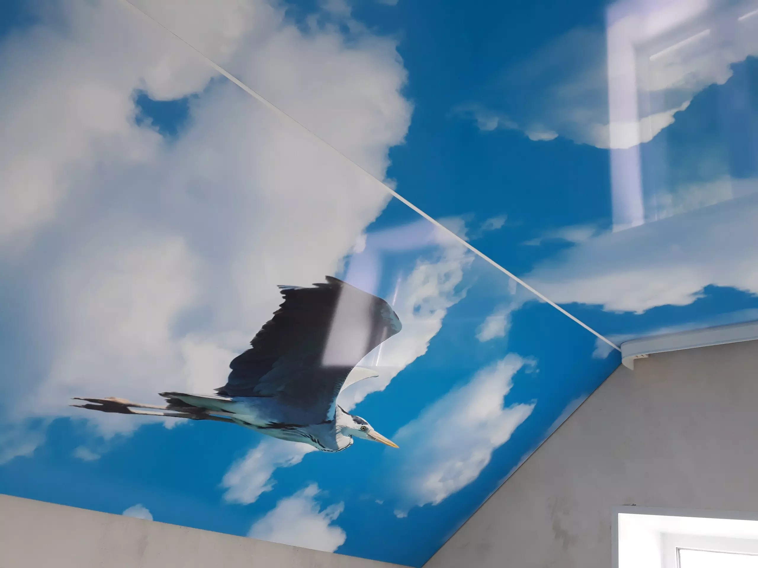 Киров, Октябрьский проспект, 84, фото 1