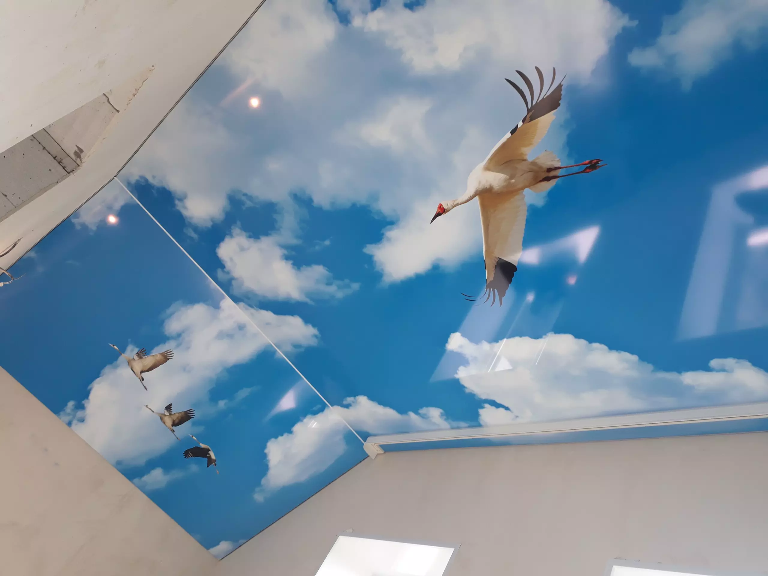 Киров, Октябрьский проспект, 84, фото 2