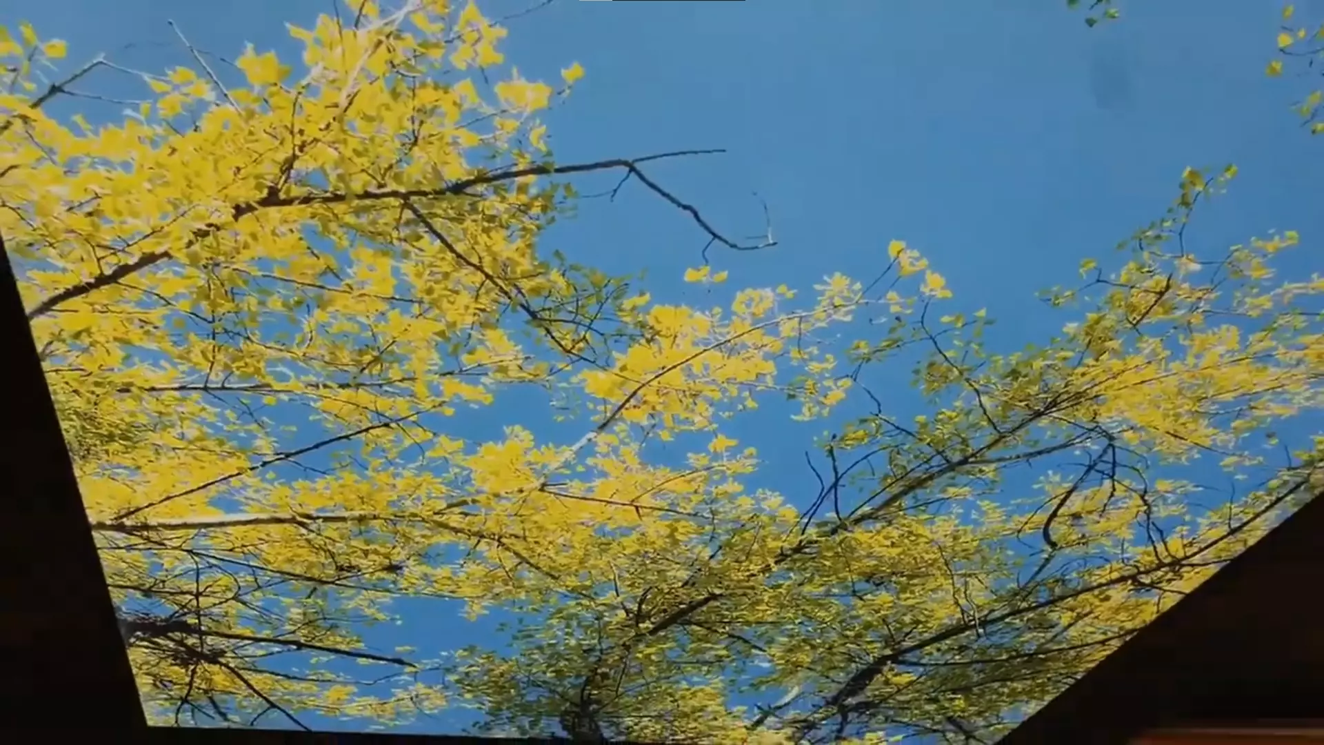 Майкоп, , фото 2