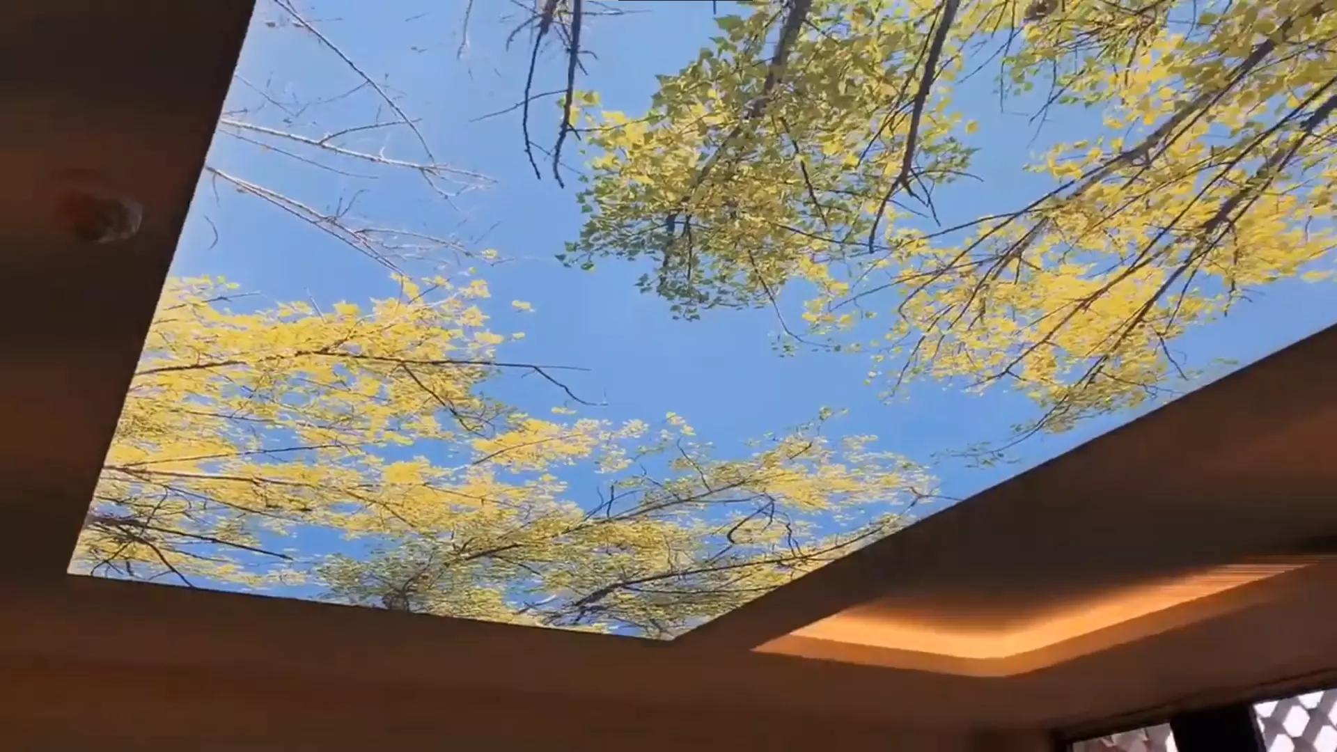 Майкоп, , фото 3